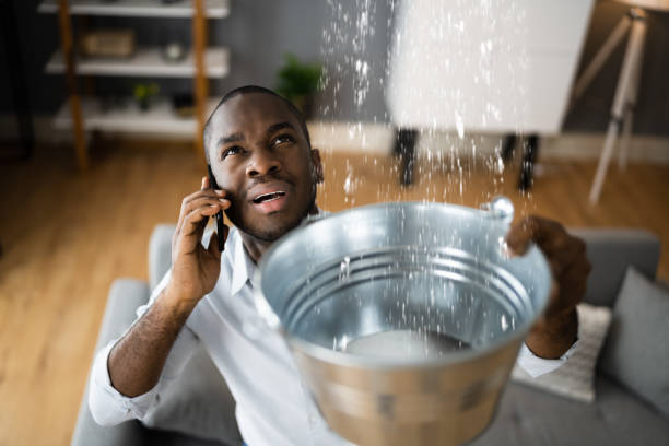Reliable Robinhood, MS Water damage restoration Solutions