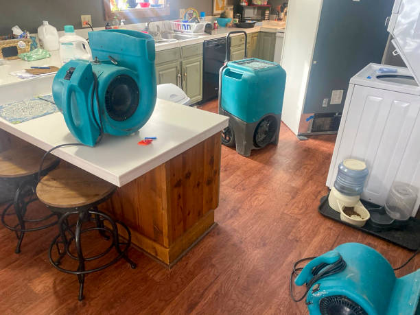 Best Mold removal after water damage  in Robinhood, MS
