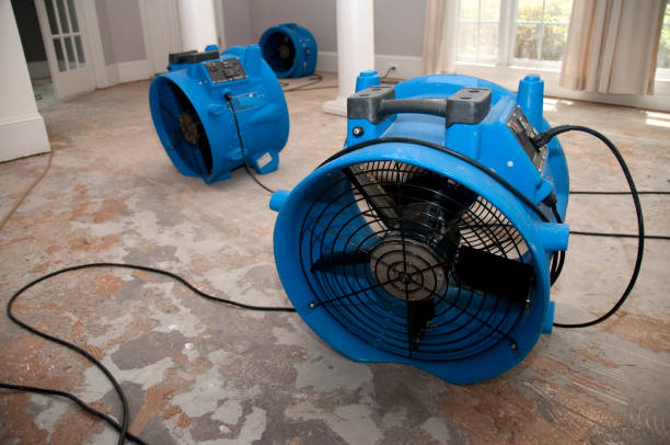 Best Sewage cleanup and water damage restoration  in Robinhood, MS
