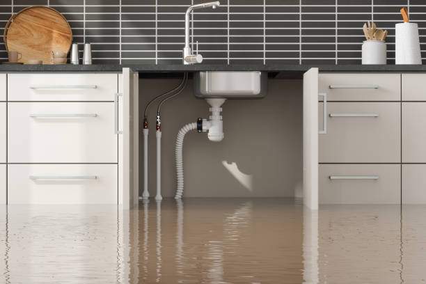 Best Emergency water damage restoration  in Robinhood, MS