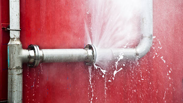 Best Mold removal after water damage  in Robinhood, MS