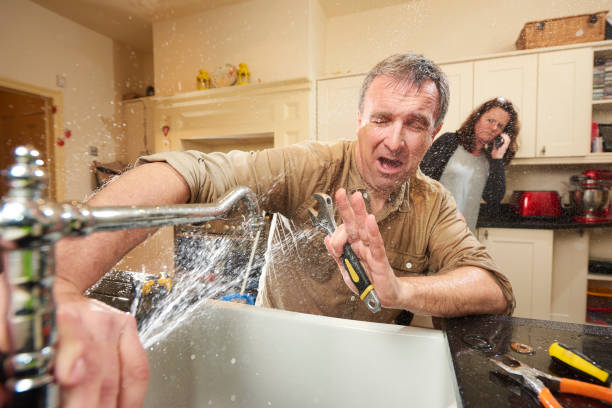 Best Mold removal after water damage  in Robinhood, MS